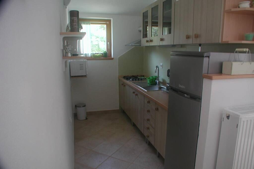 Stinjan-Studio Apartment Petric พูลา ภายนอก รูปภาพ